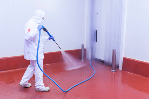 Best Soft Washing  in Oak Ridge North, TX
