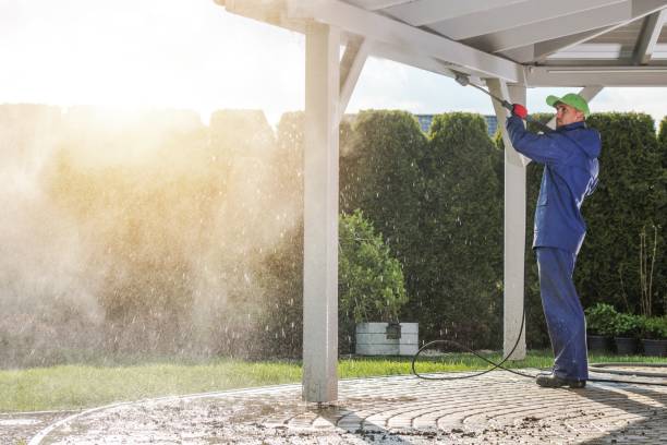 Best Fleet Vehicle Washing  in Oak Ridge North, TX